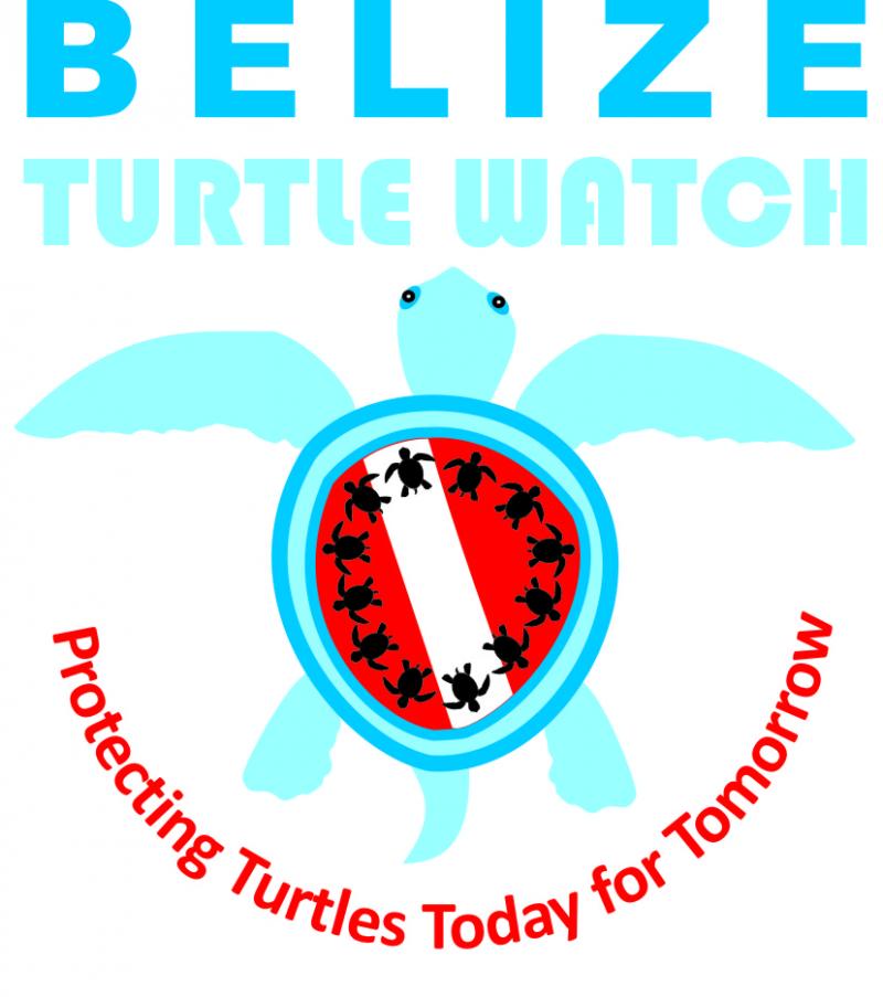 Turtle Watch Logo