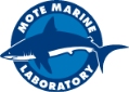 mote logo