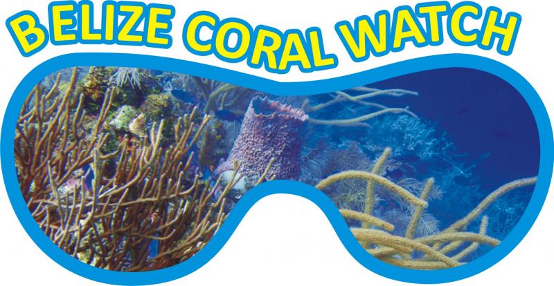 belize coral watch logo